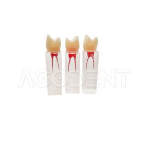 بلوک اندو Dentsply