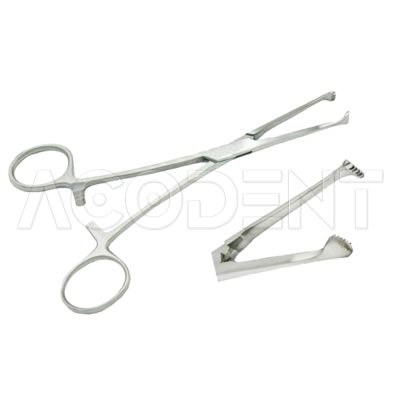 Kocher Surgical Tissue Plier