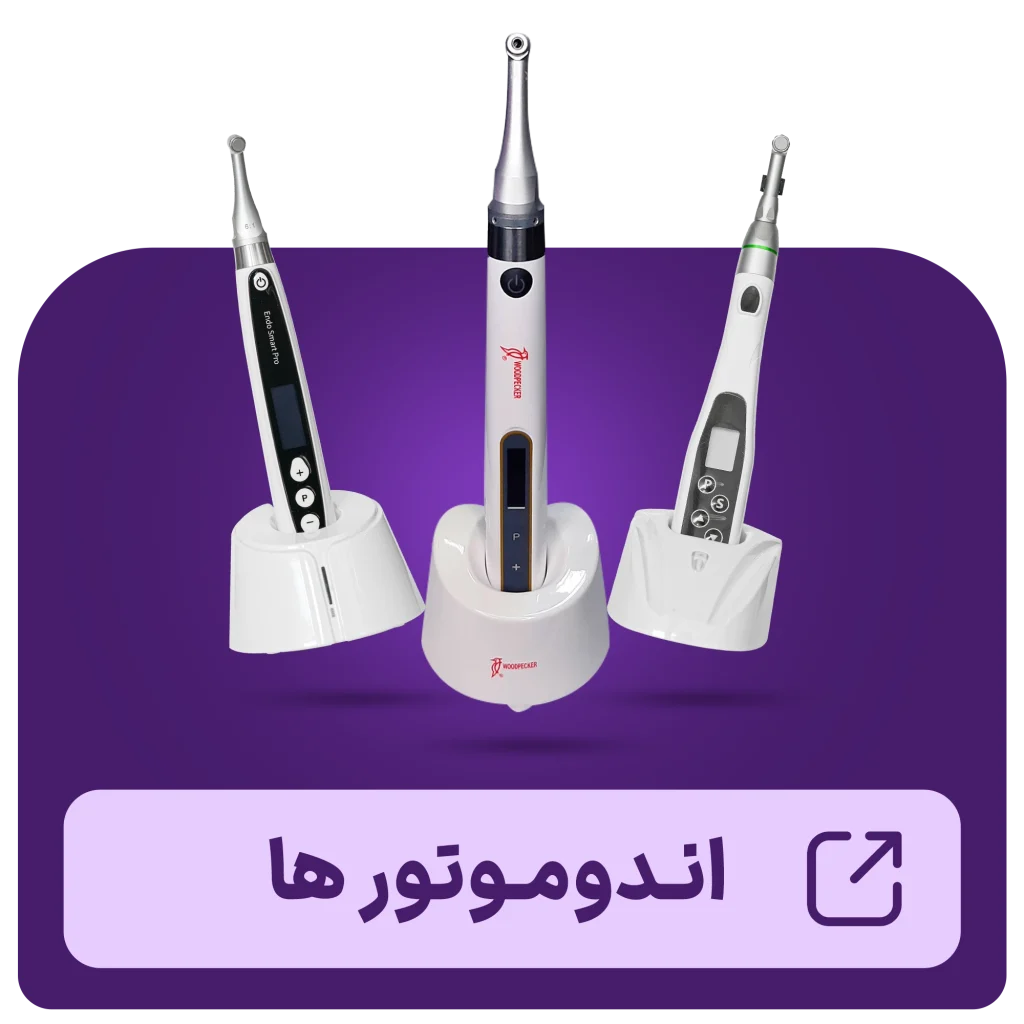 اندوموتور ها