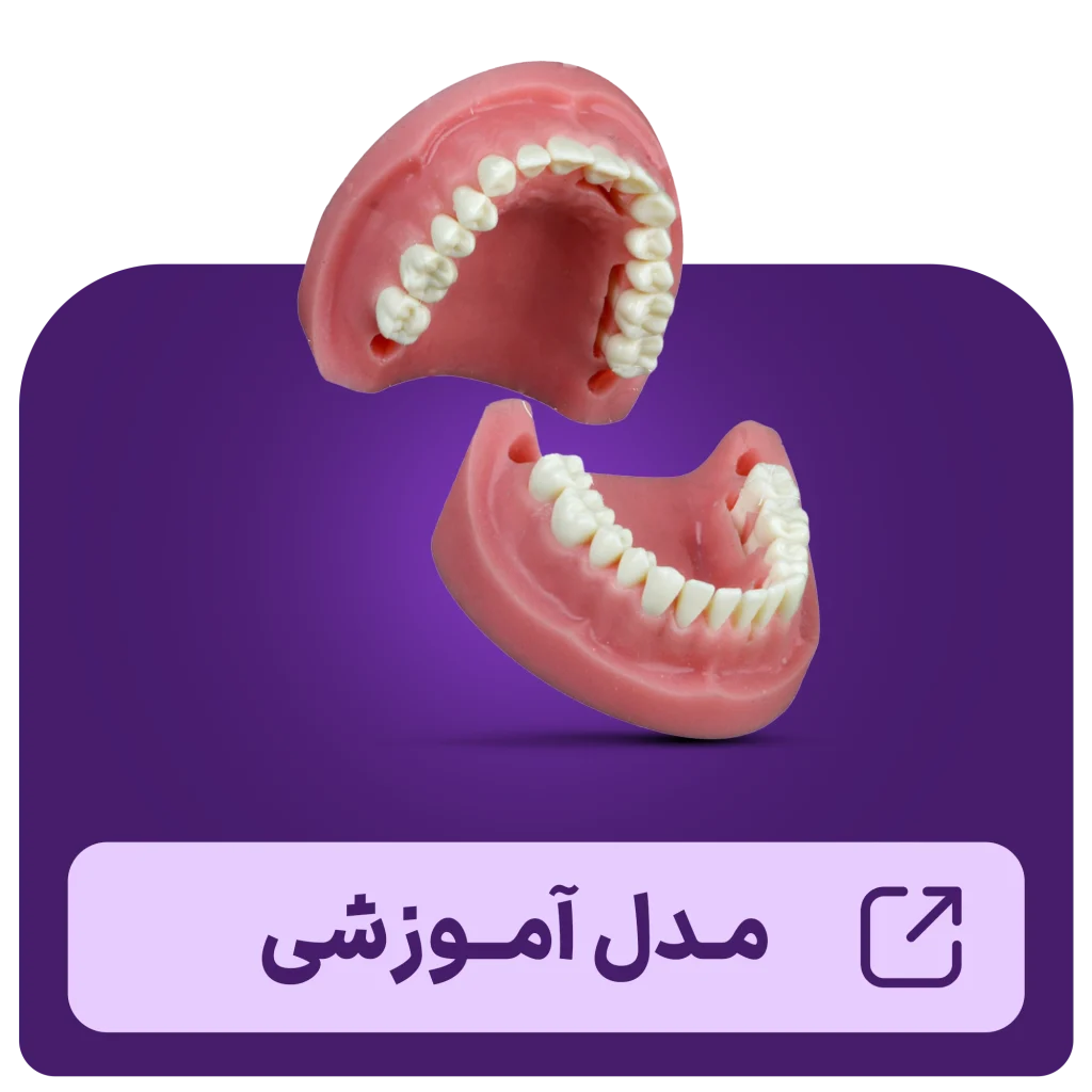 مدل آموزشی