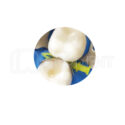 کیت وج آناتومیک دایموند Zt Dental 2